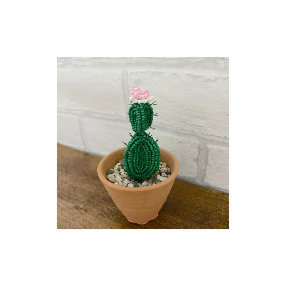 Beaded Spiky Cactus Plant Craft Kit