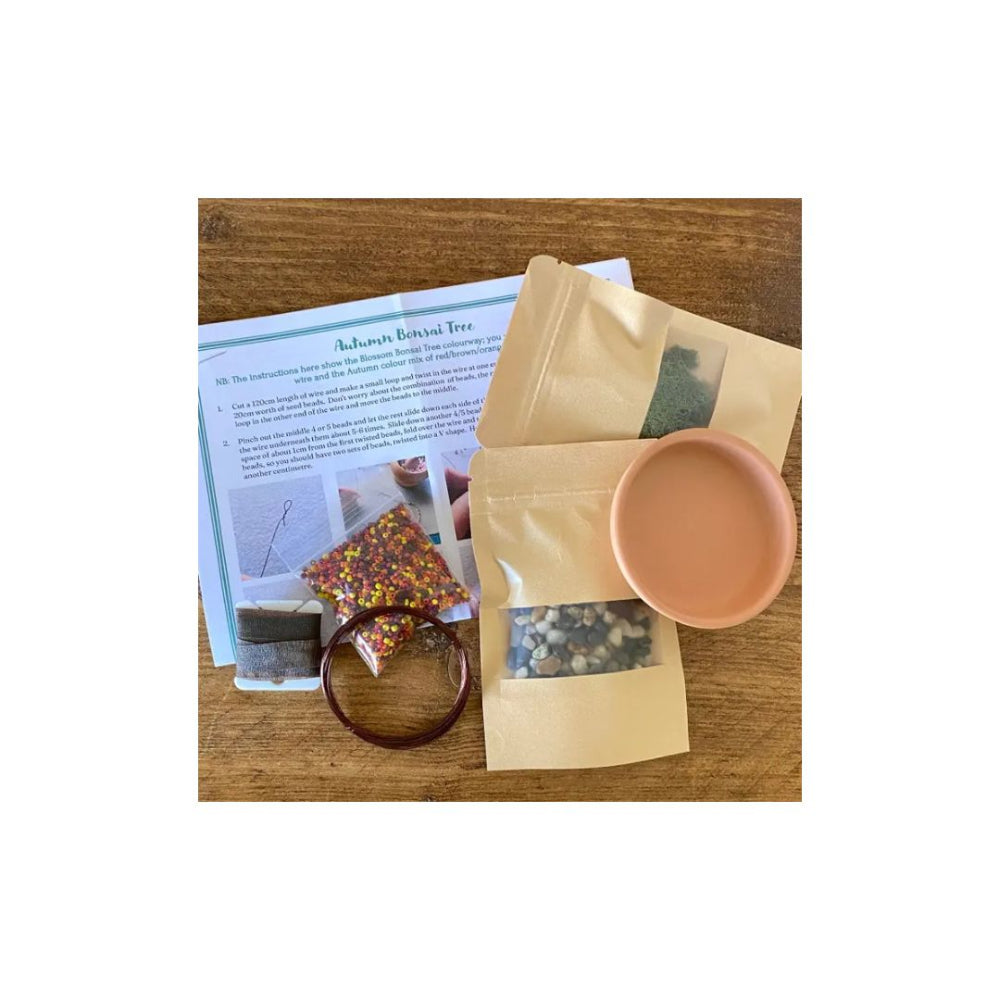 Bonsai Tree Craft Kit