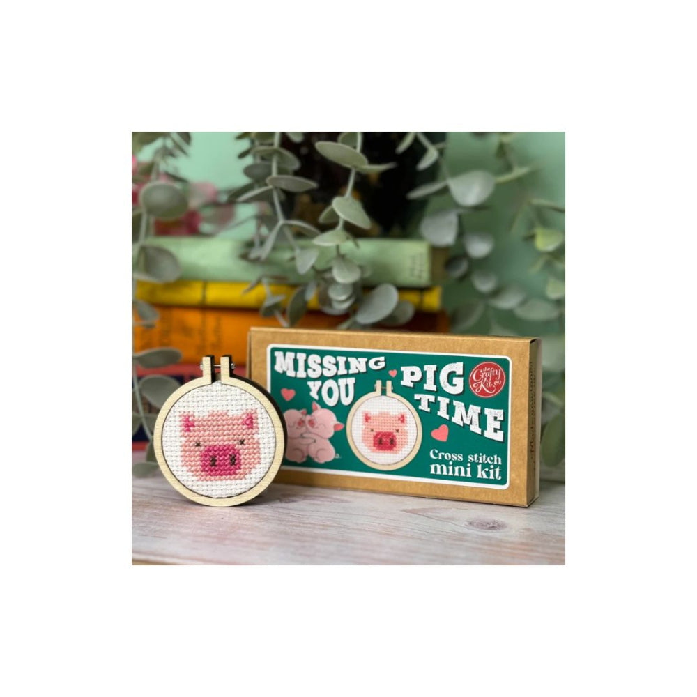 Missing You Pig Time Cross Stitch Kit
