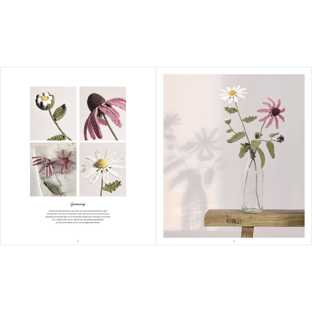 An open book or magazine spread showing floral photography and a small inset collage of flowers. The right page features a clear glass vase with white daisies and pink coneflowers on a wooden surface against a soft light background with flower shadows.