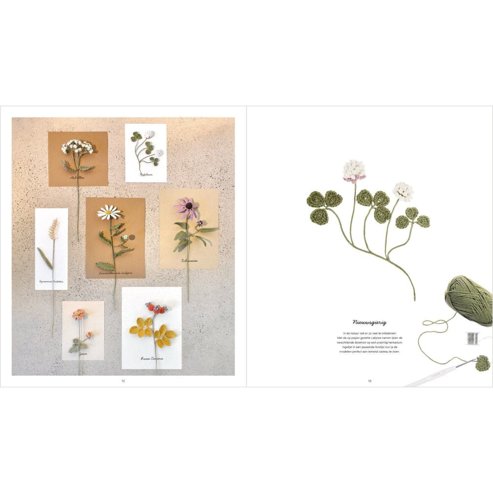 An open book or catalog spread showing crocheted botanical illustrations. The left page displays several small pressed flower cards arranged on a textured light background, and the right page shows a larger pressed flowering stem with text and a ball of green yarn.