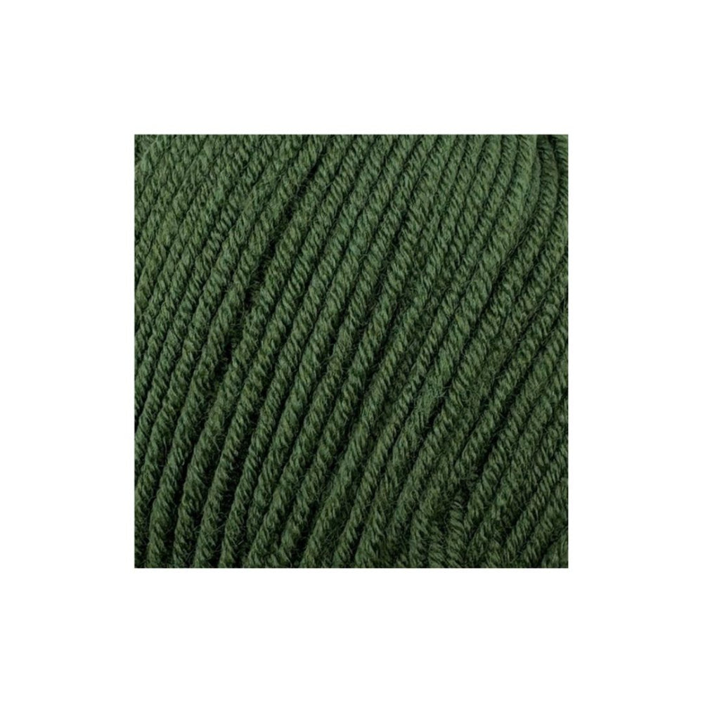 Stylecraft Bambino DK Fierce Fern
