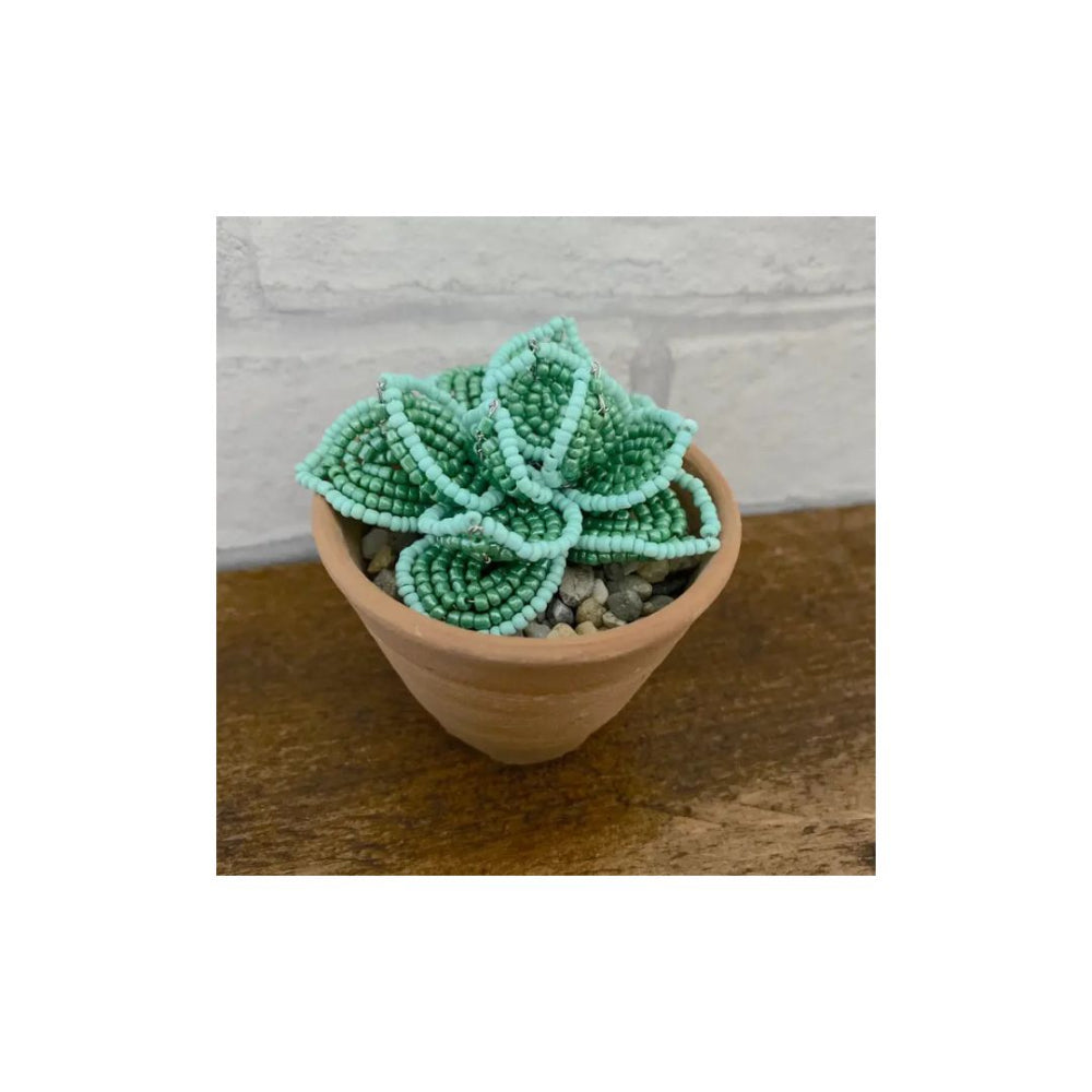 Succulent Beaded Craft Kit