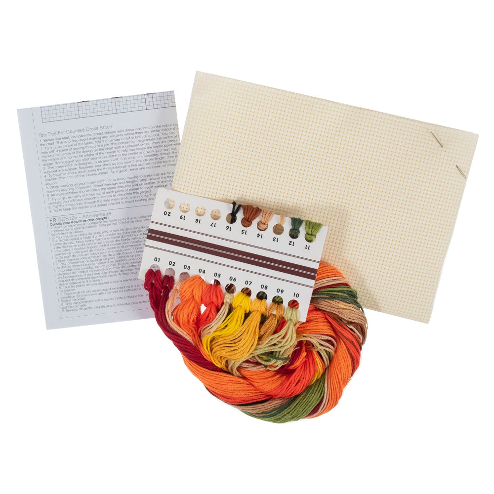 Cross stitch kit with a multicolour thread skein, a cream-colored canvas, a colour reference chart, and an instruction booklet on a white background.