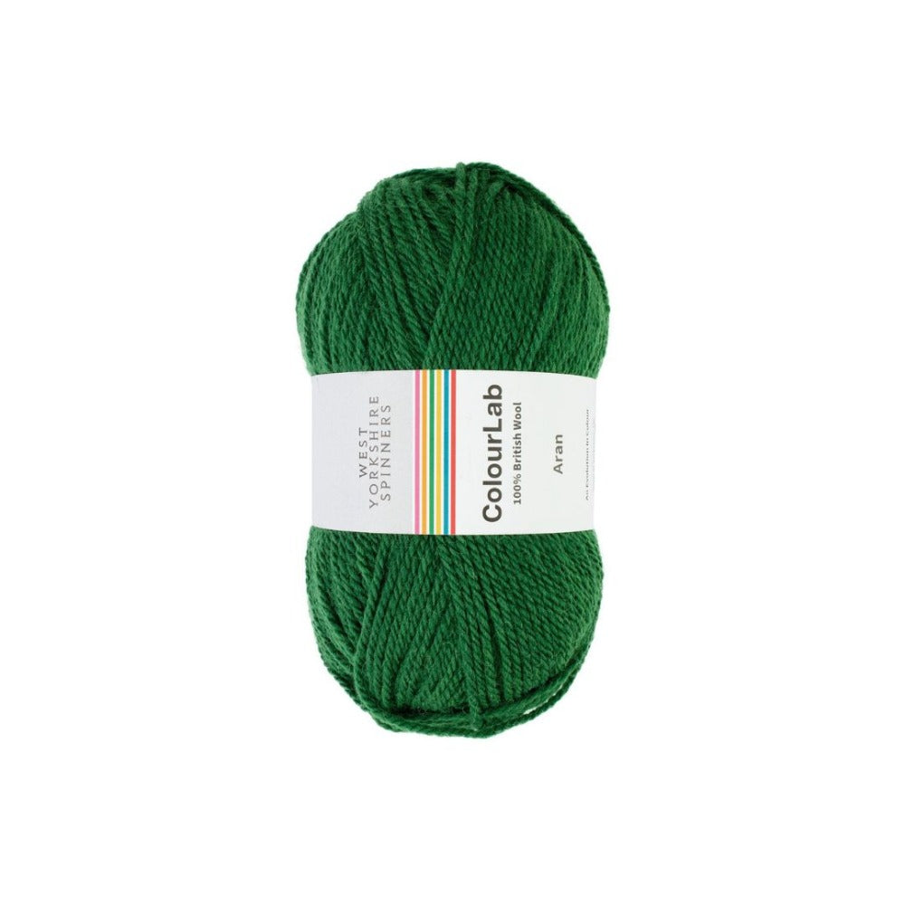 West Yorkshire Spinners Colour Lab Aran Emerald Green