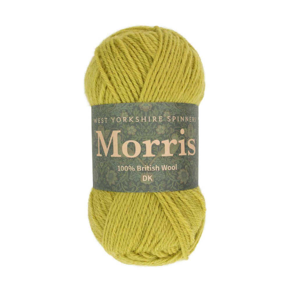West Yorkshire Spinners Morris DK Artichoke