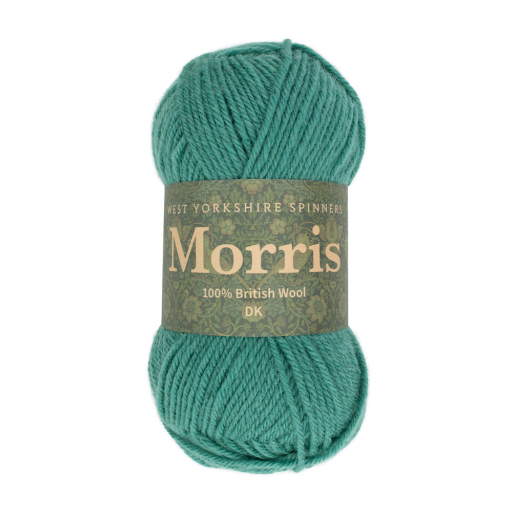 West Yorkshire Spinners Morris DK Clover