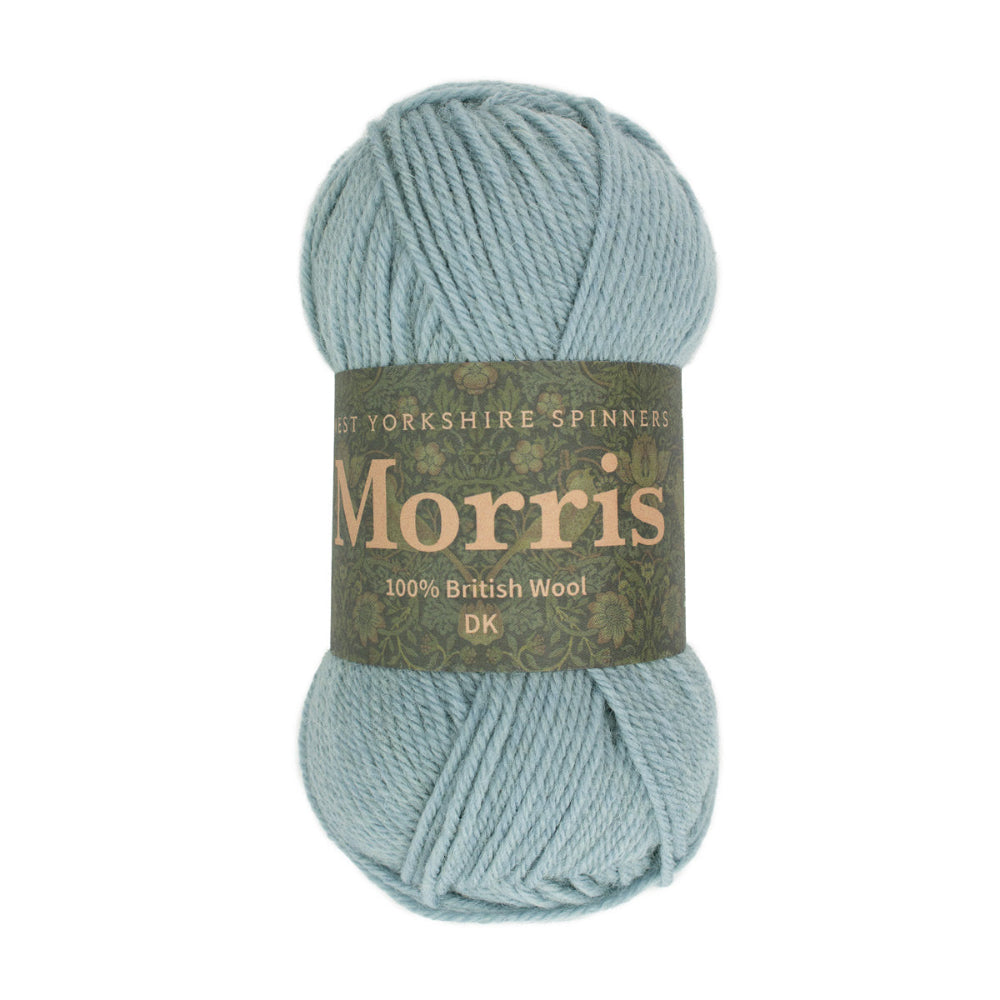 West Yorkshire Spinners Morris DK Hyacinth