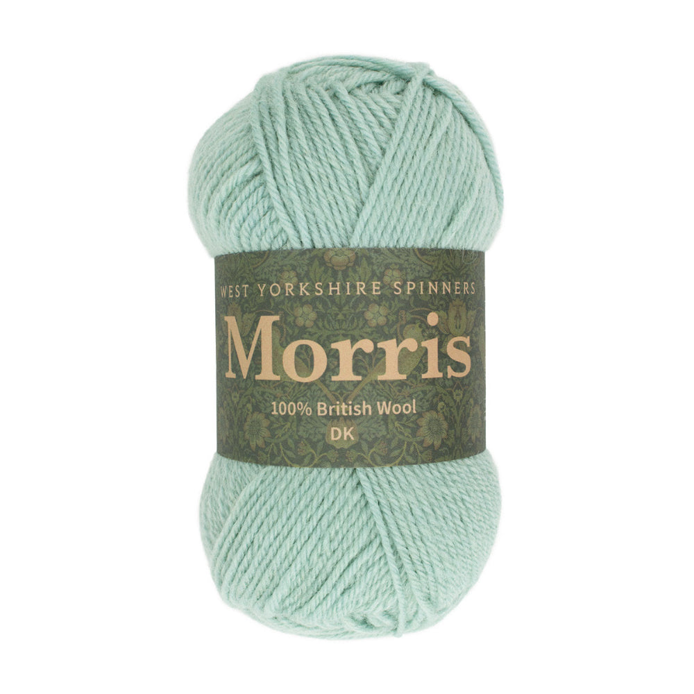 West Yorkshire Spinners Morris DK Mint