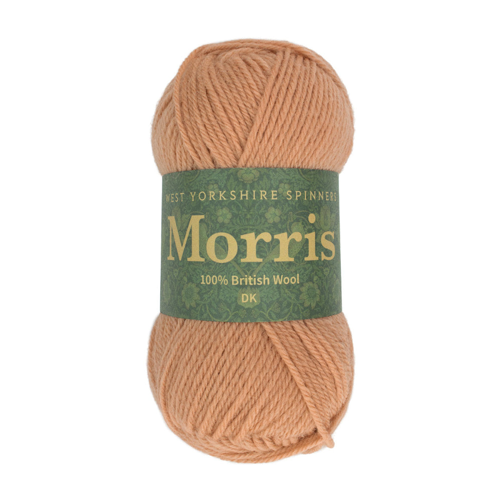 West Yorkshire Spinners Morris DK Pimpernel