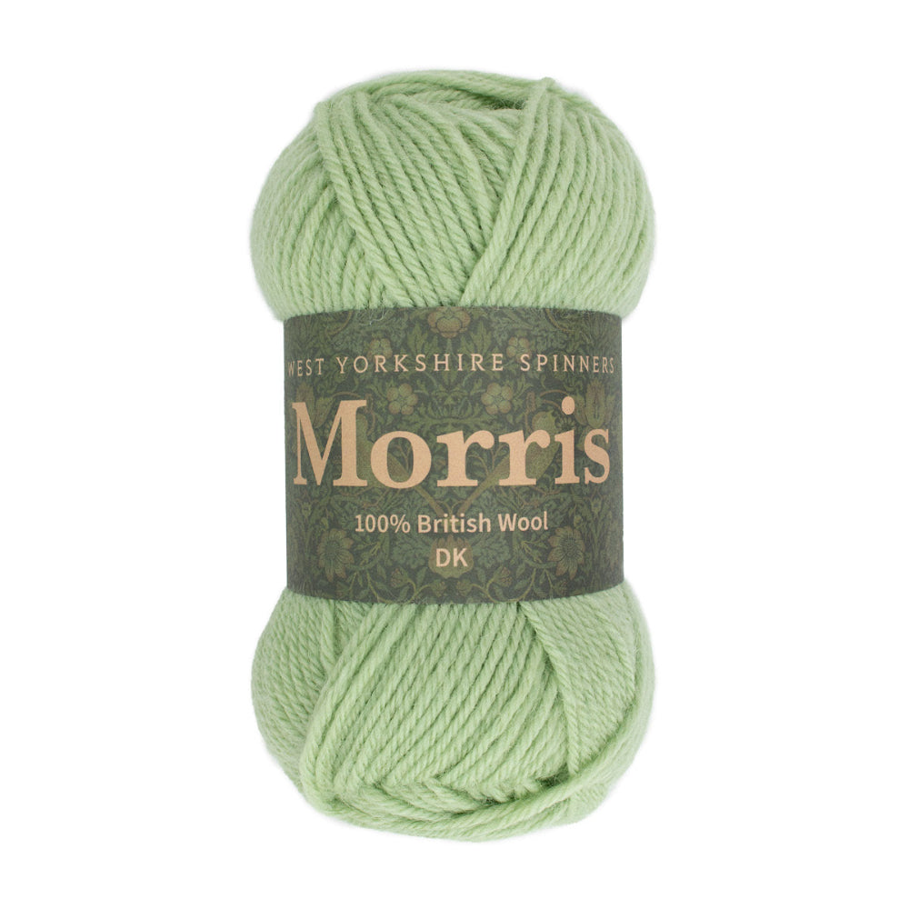 West Yorkshire Spinners Morris DK Sage