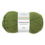 West Yorkshire Spinners Colour Lab Aran Moss Green