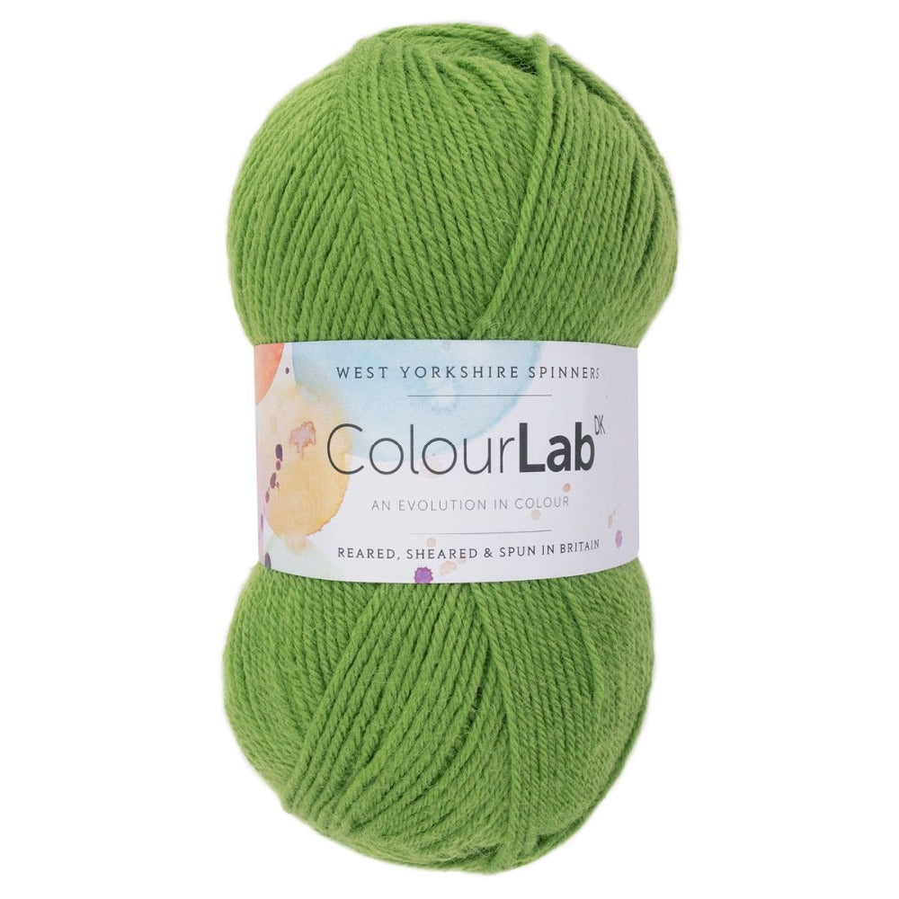 West Yorkshire Spinners Colour Lab Dk Shamrock Green