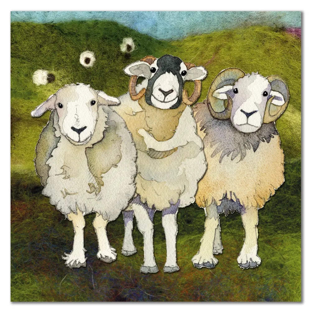 Emma Ball Three Sheep Card