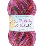West Yorkshire Spinners Yarn Botanical Bloom (1030) West Yorkshire Spinners Colour Lab DK Knitting Yarn