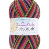West Yorkshire Spinners Yarn Forest Stripes (1032) West Yorkshire Spinners Colour Lab DK Knitting Yarn