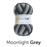 West Yorkshire Spinners Yarn Moonlight Grey (895) West Yorkshire Spinners Colour Lab DK Knitting Yarn