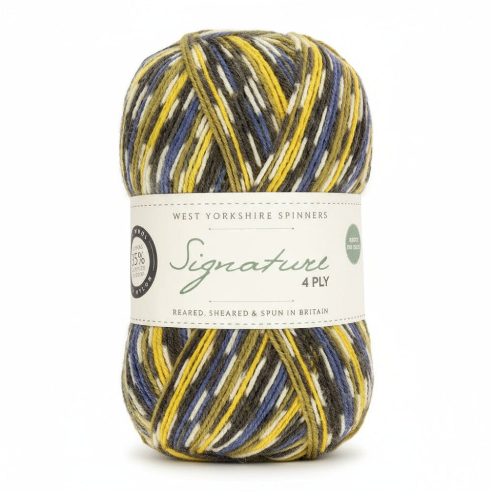 West Yorkshire Spinners Signature 4 Ply Blue Tit - British Wool Sock Yarn