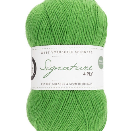 West Yorkshire Spinners Signature 4 Ply Chocolate Lime