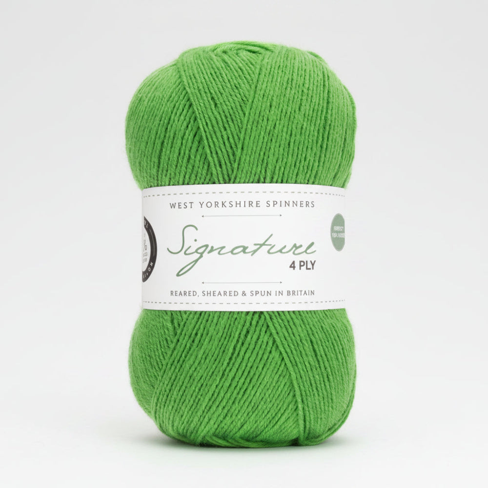 West Yorkshire Spinners Signature 4 Ply Chocolate Lime