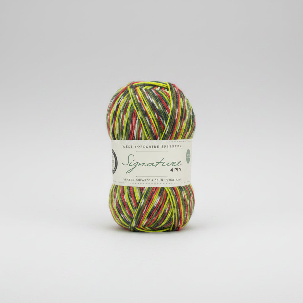 West Yorkshire Spinners Signature 4 ply Woodpecker