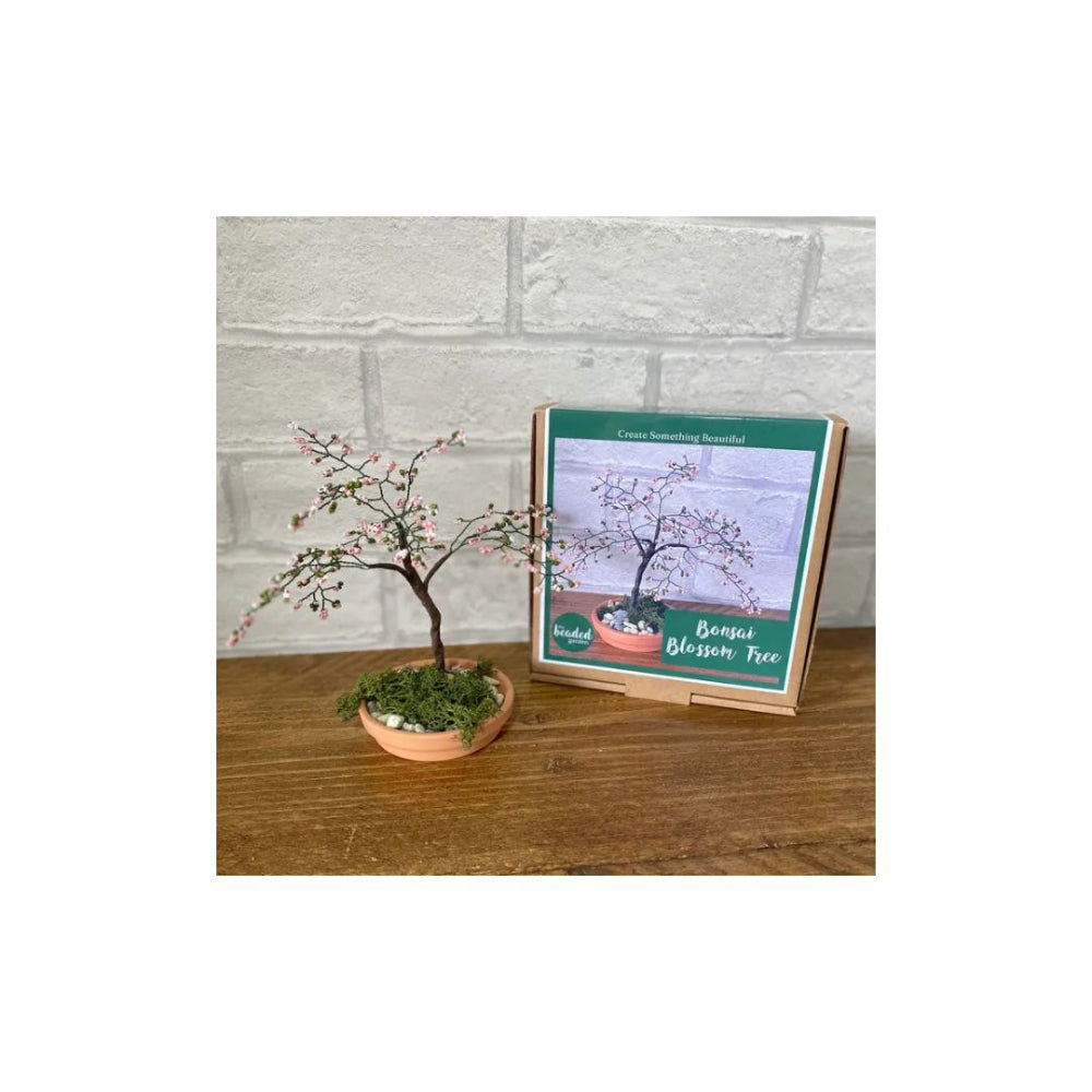 Blossom Bonsai Tree Craft Kit