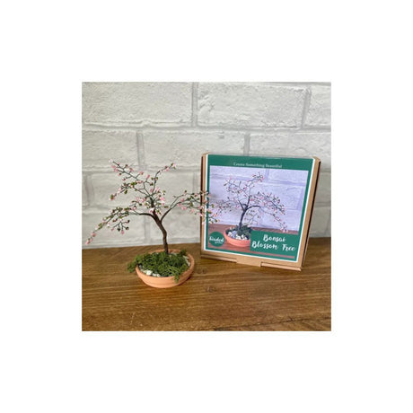 Blossom Bonsai Tree Craft Kit