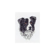 Border Collie Counted Cross Stitch Kit