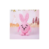 Bubbles the Bunny Crochet Kit