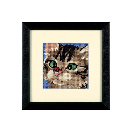 Cross Eyed Kitty Needlepoint Kit