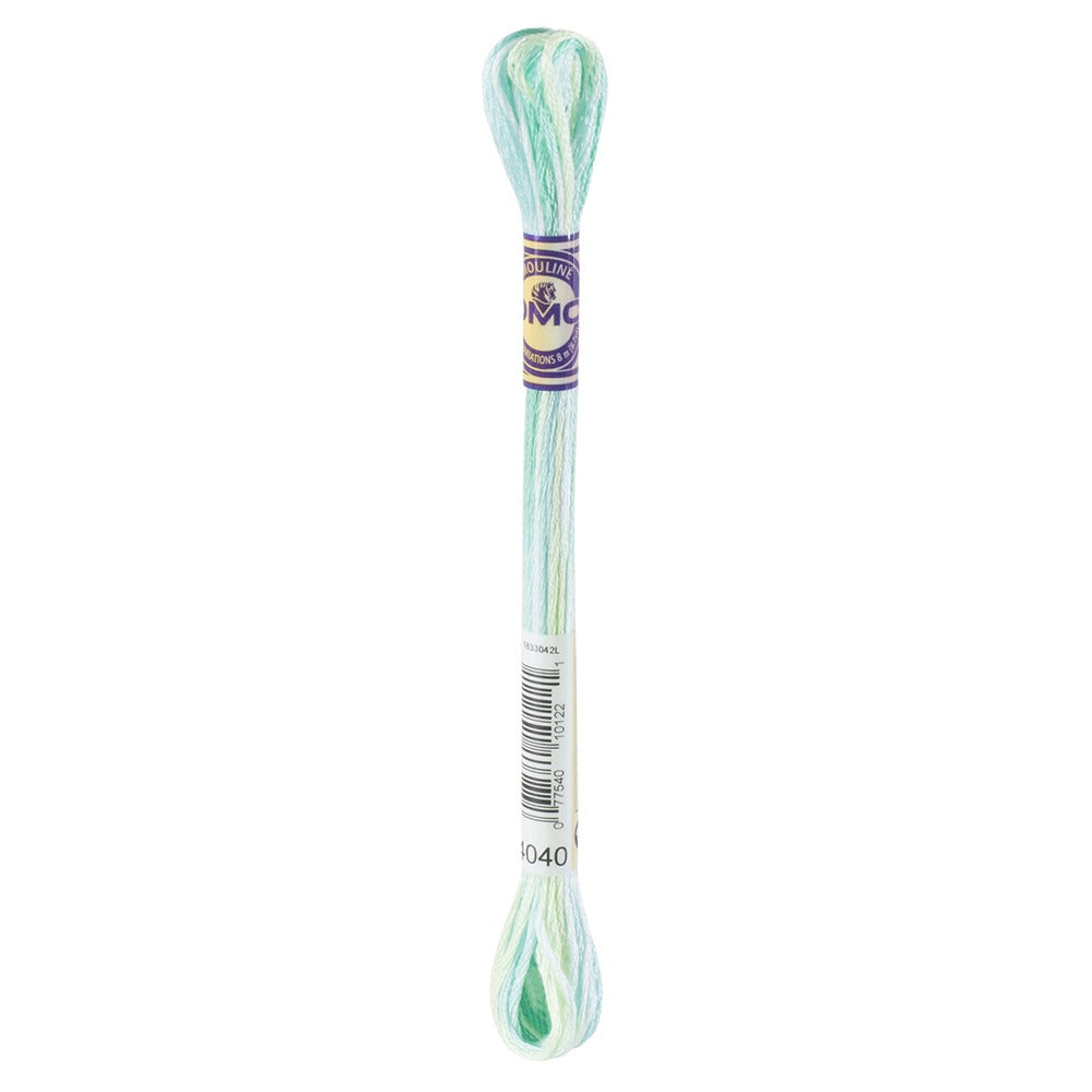 DMC Colour Variations Thread 4040