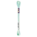 DMC Colour Variations Thread 4040