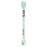DMC Colour Variations Thread 4040