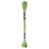 DMC Colour Variations Thread 4050