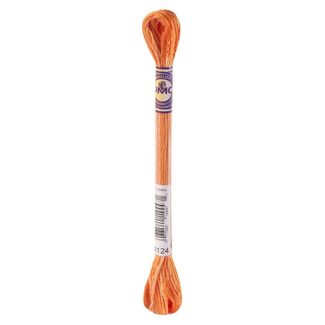 DMC Colour Variations Thread 4124