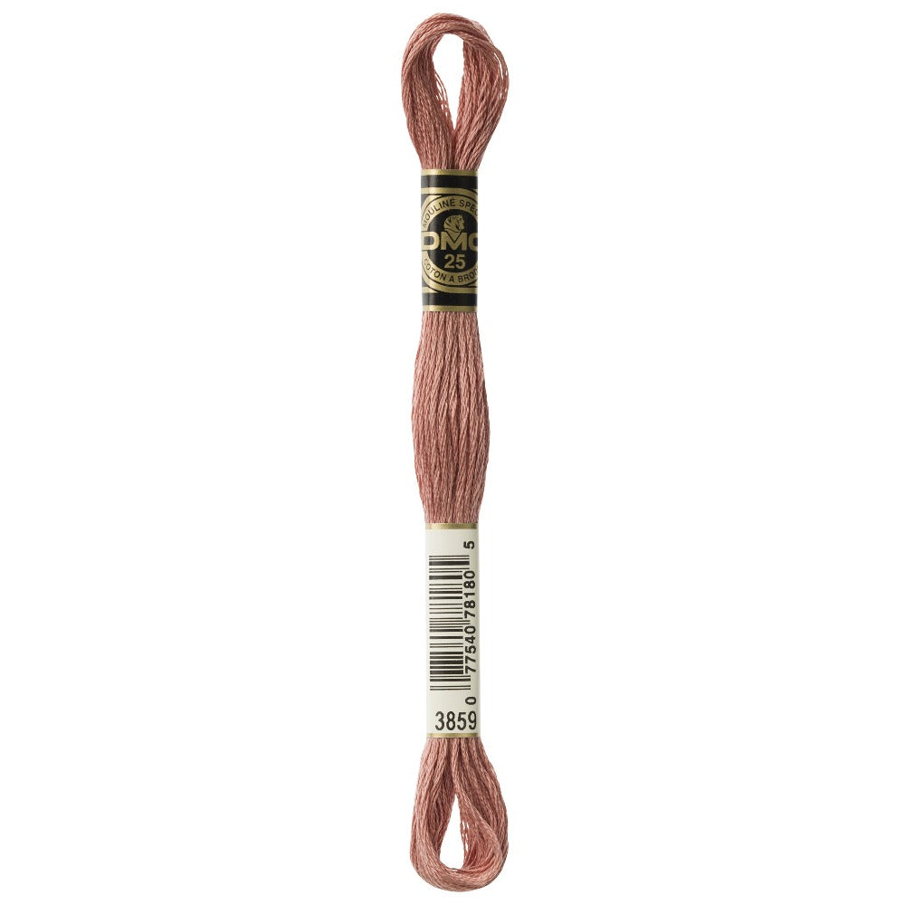 DMC Thread 3859