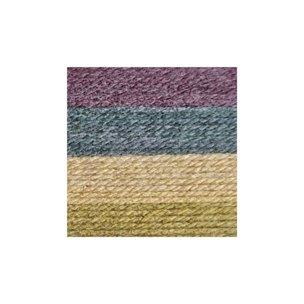 James C Brett Aurora Chunky Bramble Bush