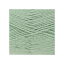King Cole Big Value DK Superball Fern
