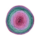 King Cole Curiosity DK Aurora