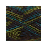 A close-up of variegated yarn strands arranged in a V-shape and crisscross pattern, showing a colorway of dark brown, olive green, teal blue, and black.