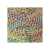 King Cole Jamboree DK Confetti Carnival