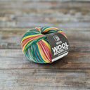 Lang Yarns Move 4 Ply 001