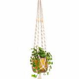 A bohemian-style macrame plant hanger suspended against a solid white background, holding a small green trailing plant in a textured brown pot.