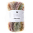 A skein of Rico Design Fashion Wool Alpaca Landscape yarn, featuring a white paper label with black text, set against a plain white background.