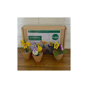 Spring Blooms Craft Kit