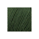 Stylecraft Bambino DK Fierce Fern