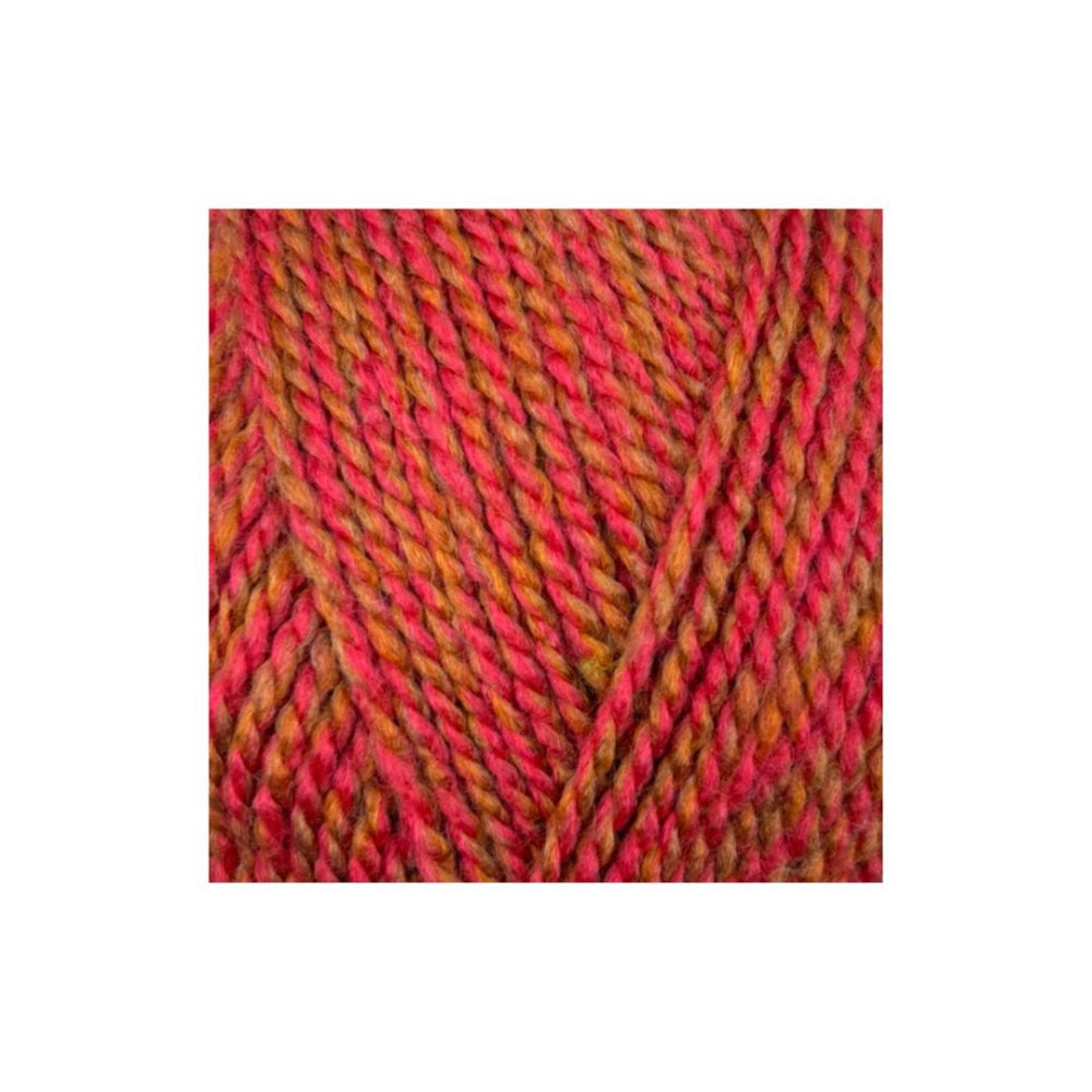 Stylecraft Highland Heathers DK Rowanberry