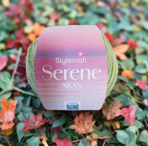 Stylecraft Serene Aran Yarn for Knitting and Crochet