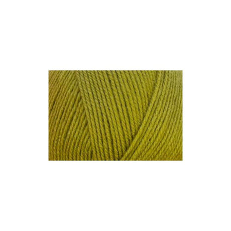 Stylecraft Special DK Mistletoe