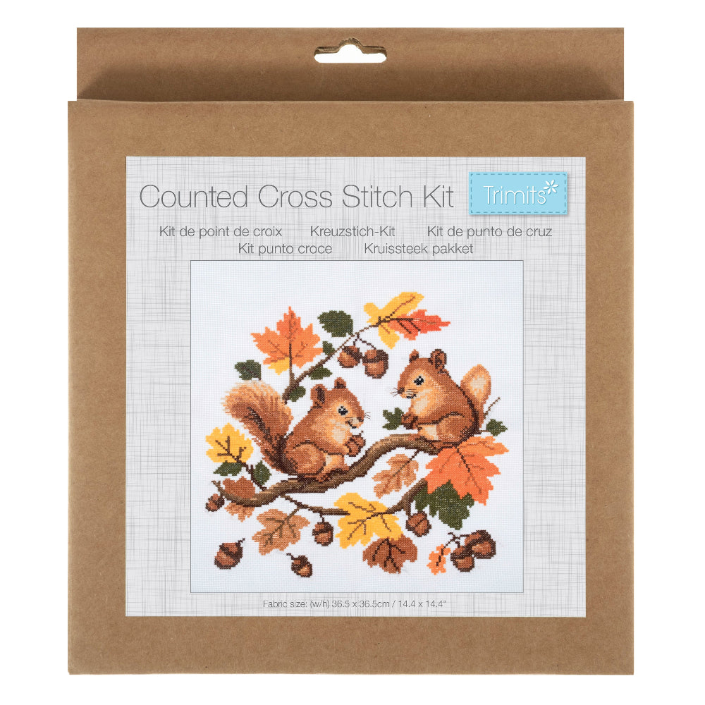A counted cross stitch kit in its original brown cardboard packaging, featuring a front label with an illustration of two squirrels on a branch with autumn leaves and acorns.